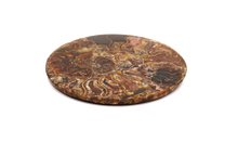 Load image into Gallery viewer, Ammonite Fossil Crystal Plate