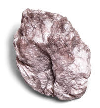 Load image into Gallery viewer, Lepidolite Crystal - Energy Muse