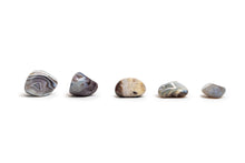 Load image into Gallery viewer, Botswana Agate Stone
