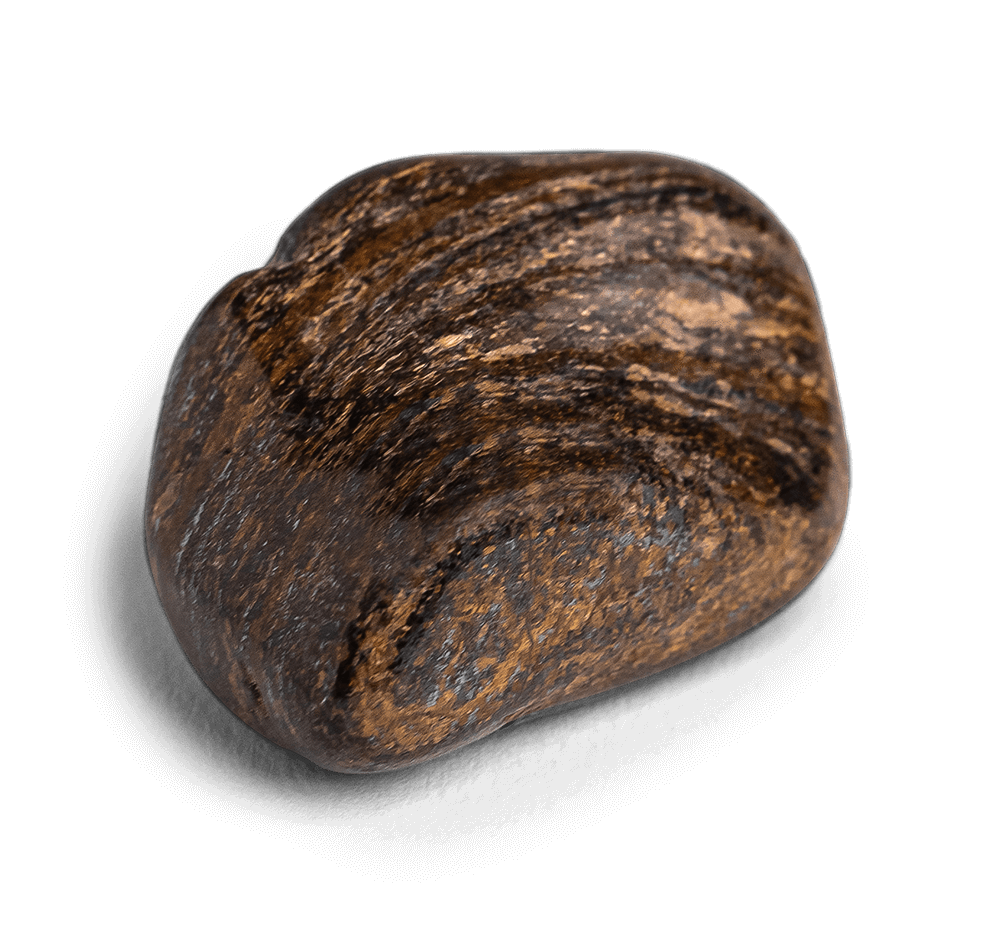 Bronzite Stone - Tumbled Stones - Energy Muse