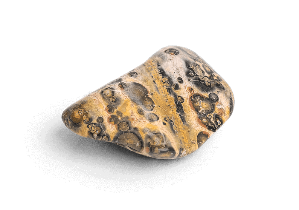 Leopard Skin Jasper Stone - Energy Muse