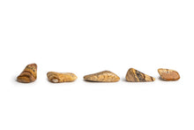 Load image into Gallery viewer, Picture Jasper Stone
