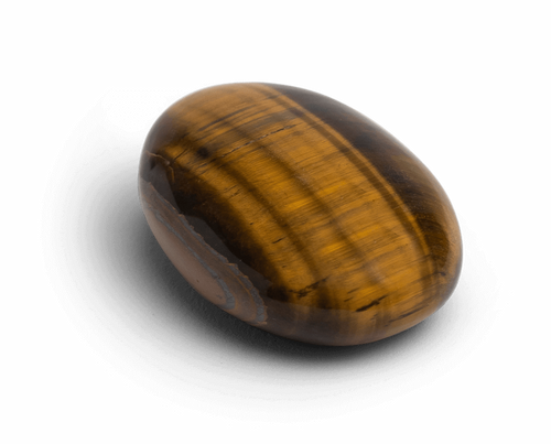 Tiger's Eye Touchstone - Palm Stones - Energy Muse