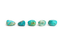 Load image into Gallery viewer, Turquoise Stone
